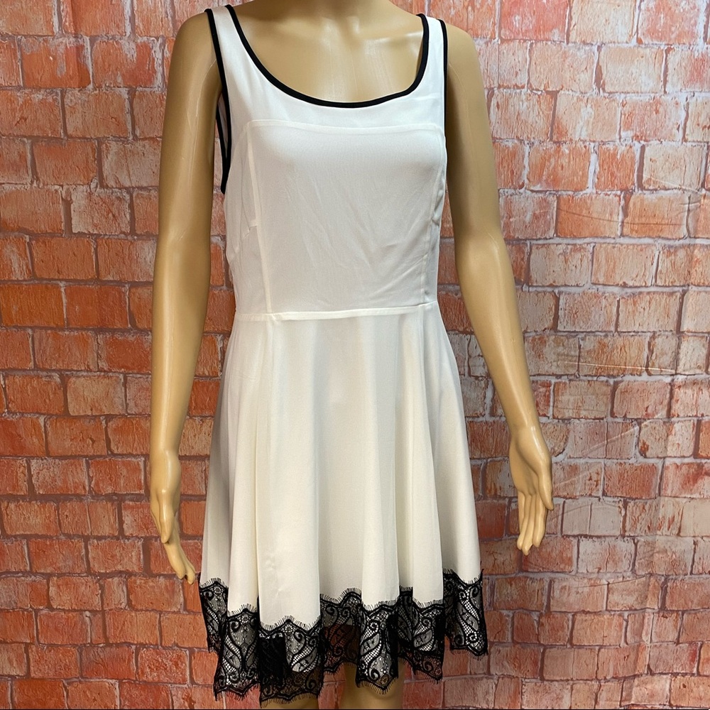 Express Lace Trimmed‎ Chiffon Skater Dress